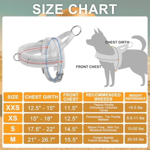 BEAUTYZOO Small Dog Harness and Leash Set, No Pull Step in Puppy Vest - Image 5
