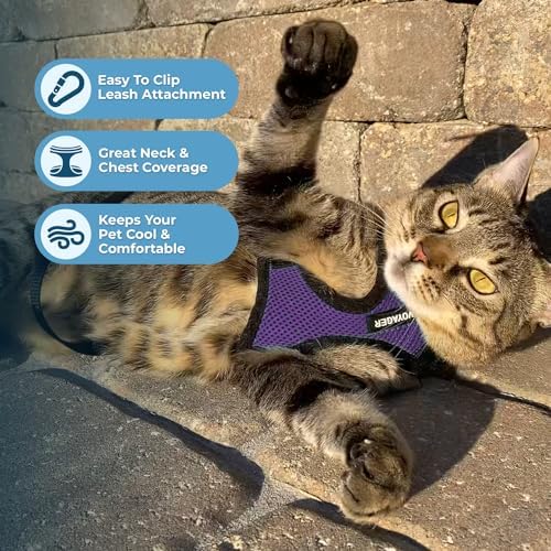 Voyager Step-in Lock Cat Harness & Leash Set - Image 5