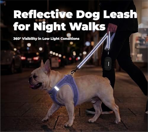 Best Pet Supplies Voyager Nylon Dog Leash - Image 4