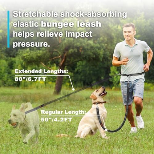 Laqibak Hands Free Dog Leash, Adjustable Waist Leash - Image 4