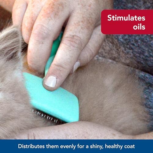 Coastal Pet Lil Pals Kitten Slicker Brush - Image 6