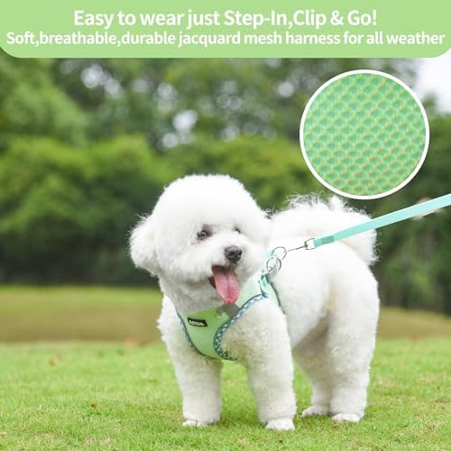 AIITLE Medium Dog Harness and Leash Set - Image 3