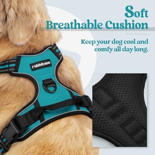 rabbitgoo Dog Harness, No Pull for Small Dogs - Image 2