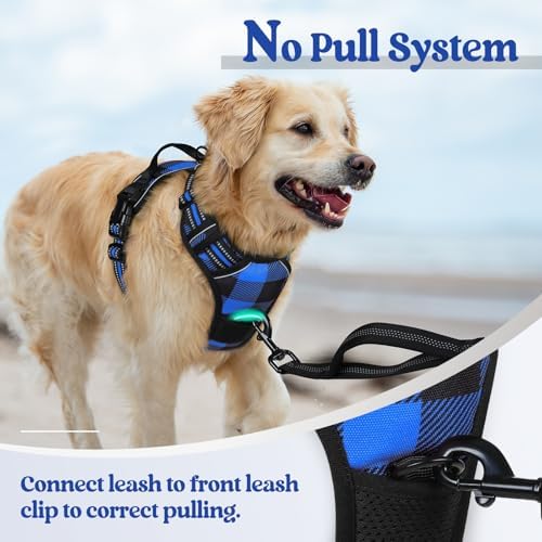 rabbitgoo Dog Harness, No Pull Medium Sized - Image 5