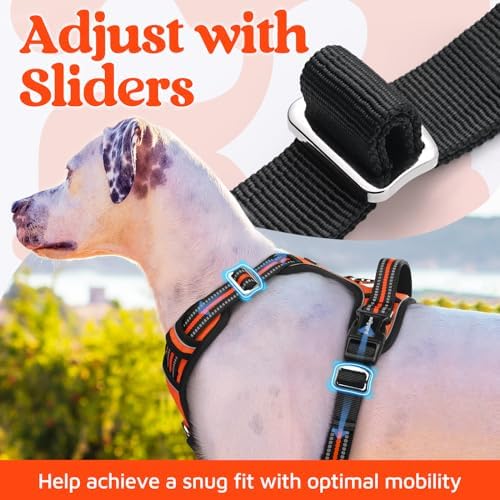 rabbitgoo Dog Harness for Large, No Pull 3 Buckles Easy On & Off - Image 5