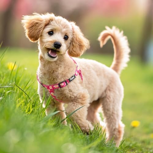 PUPTECK No Pull Dog Harness Medium Sized Step-in Adjustable Puppy Vest - Image 6