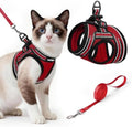 rabbitgoo Cat Harness and Leash Set, Step-in Soft Vest by rabbitgoo