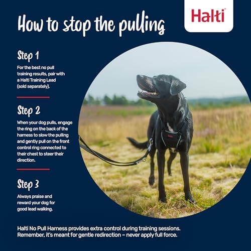 Halti No Pull Dog Harness | Size XS, Cobalt Blue - Image 4