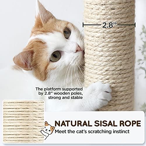 Yaheetech 63in Sturdy Large Cat Tree - Image 6