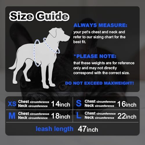 Dog Harness Medium Sized Dogs, Puppy Harness and Leash Set - Image 6