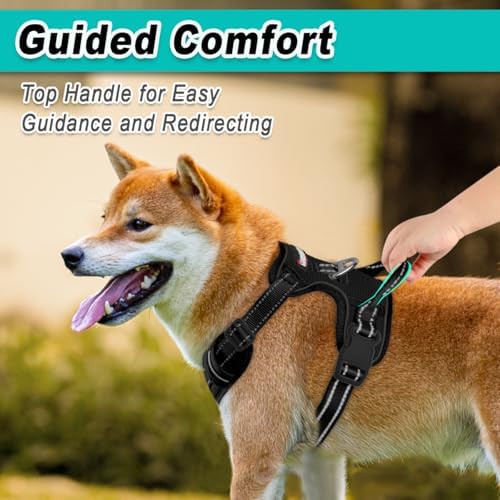 BARKBAY Dog Harness for Large Dog No Pull Mesh 2 Clips Dog Vest - Image 4