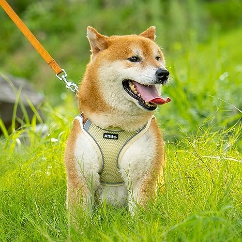 AIITLE Medium Dog Harness and Leash Set, Step-in Puppy Pet Vest - Image 2