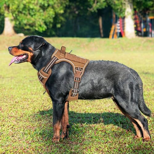 Beebiepet Tactical No Pull Dog Harness - Image 2
