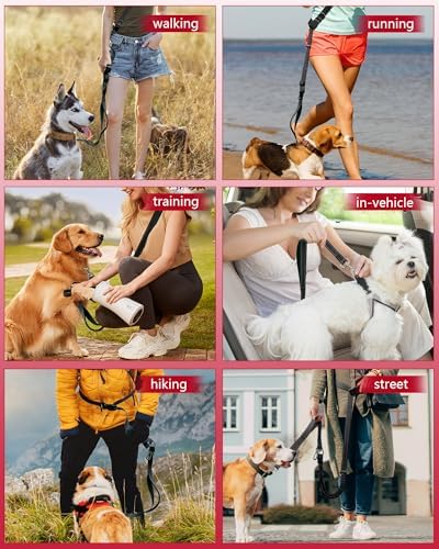 Hands Free Dog Leash - Image 5