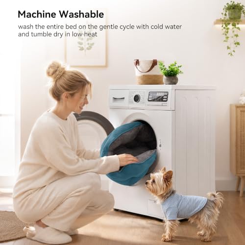 Asvin Small Dog Bed for Small Dogs, Cat Beds for Indoor Cats, Pet Bed for Puppy - Image 5