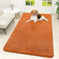 OLANLY Dog Door Mat for Muddy Paws 59x32, Super Absorbent Chenille Mud Mat by OLANLY