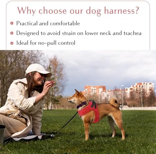 No Pull Dog Harness for Small, Medium & Large Dogs – Soft Padded, Adjustable - Image 6