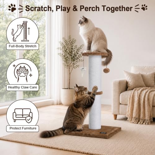 34-Inch Tall Cat Scratching Post - Image 3