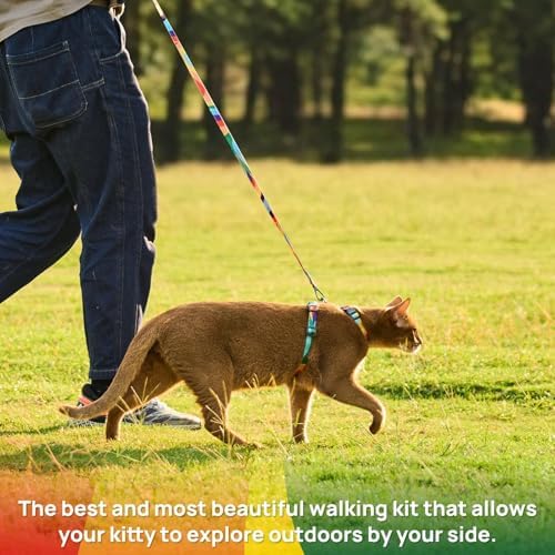 PetThem Cat Harness and Leash Set Escape Proof - Image 2