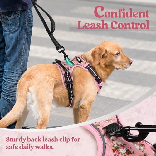 rabbitgoo Dog Harness, No Pull Medium Sized - Image 6