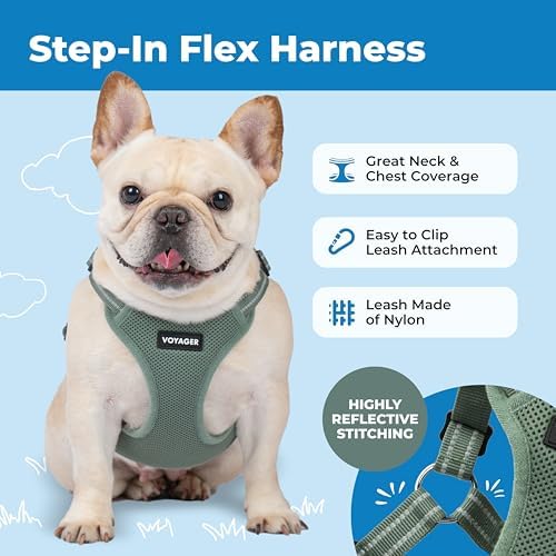 Voyager Step-in Flex Adjustable Dog Harness - Image 6