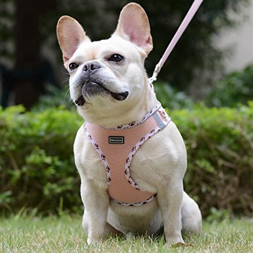 Mercano Soft Mesh Dog Harness and Leash Set, Step-in Reflective Breathable - Image 4