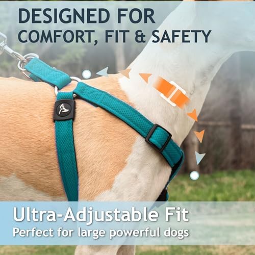 Kruz No Pull Dog Harness Heavy-Duty Pet Harness - Image 4