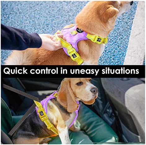 PHOEPET No Pull Dog Harness, Unique Colors Reflective Adjustable Dog Vest - Image 5