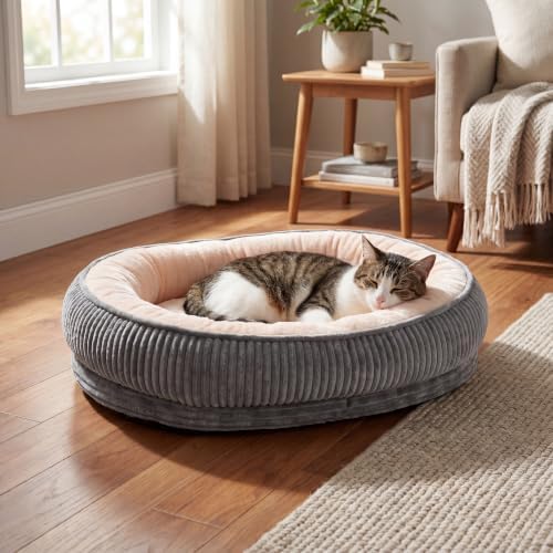 Calming Dog Bed for Medium Dogs, Orthopedic Washable Pet Bed by TailThrone