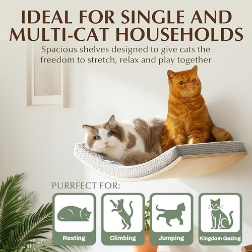 Extra Large 23.6”×14.6” CALLICO HAVEN- Stylish Cat Wall Shelves - Image 3