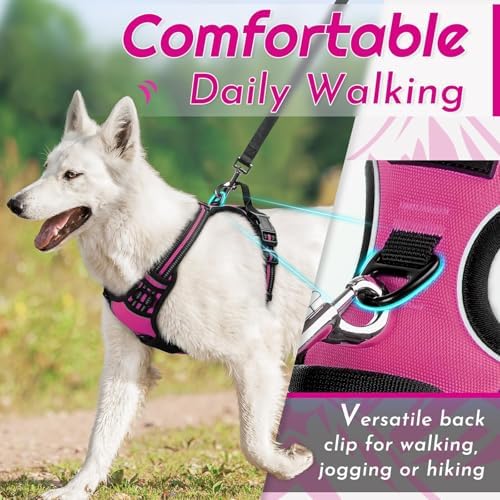 Eagloo Dog Harness for Small Dogs, No Pull Pet Vest - Image 4