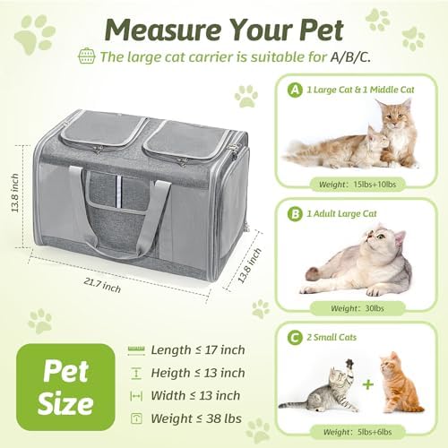 Sedioso Large Cat Carrier for 2 Cats, 21.7X 13.8X 13.8in Pet Carrier for Cat - Image 2