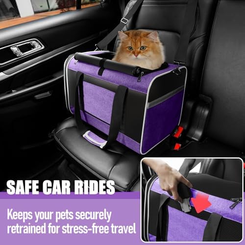 GAPZER Large Cat Carrier Soft, Collapsible Travel Pet Carry Bag, Small Dogs - Image 6
