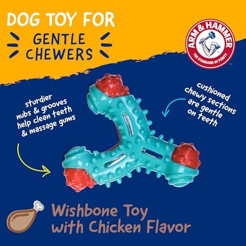 Arm & Hammer Nubbies Wishbone Dental Dog Chew Toy, Chicken Flavor - Image 2