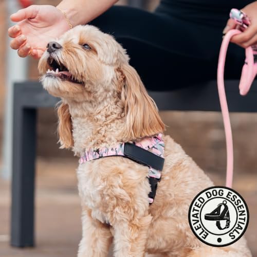 Dog Friendly Co. Dog Harness for Medium Dogs - Image 5