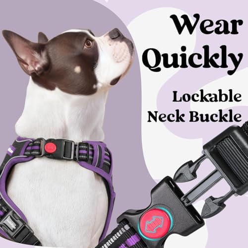 rabbitgoo Dog Harness Small Sized, Updated Easy On & Off - Image 2