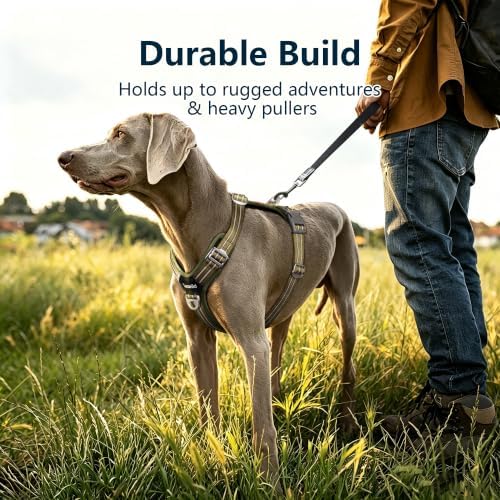 No Pull Dog Vest Harness Large Medium Small Sized Dog Friendly - Image 7