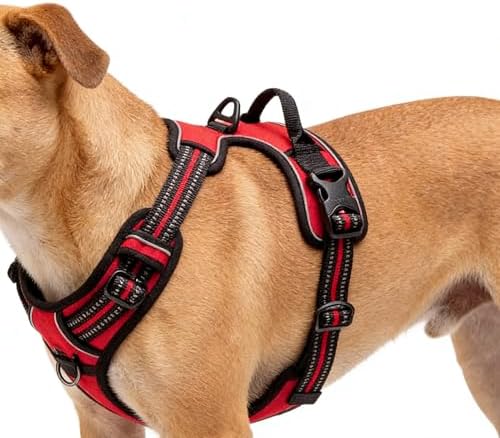 Red No-Pull Dog Harness with 2 Leash Clips，Soft Padded Vest - Image 4