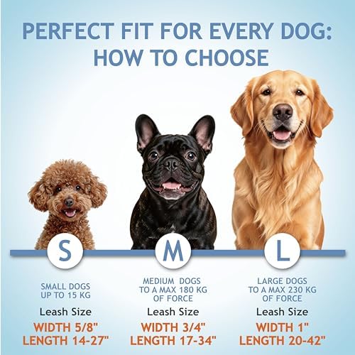 Double Dog Leash for Small Dogs | Nylon Dual Dog Leash - Image 5