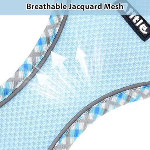 AIITLE Teacup Puppy Harness - Image 2
