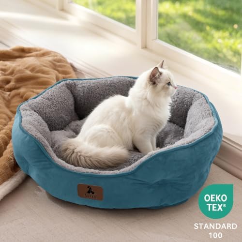 Asvin Small Dog Bed for Small Dogs, Cat Beds for Indoor Cats, Pet Bed for Puppy - Image 4