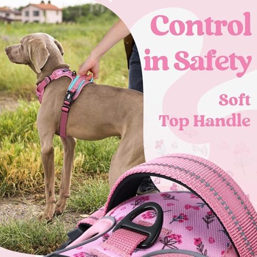 rabbitgoo Dog Harness for Large, Updated Easy On & Off - Image 5