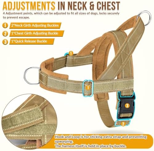 SlowTon No Pull Dog Harness and Leash Set - Image 5