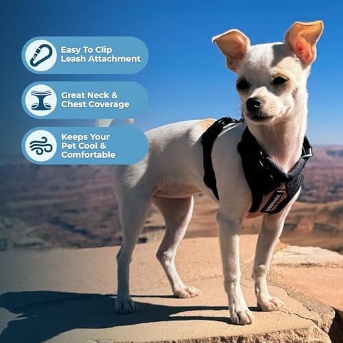Voyager Step-in Lock Dog Harness - Image 3