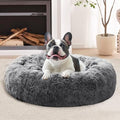 JOLLYVOGUE Calming Small Dog & Cat Bed by JOLLYVOGUE