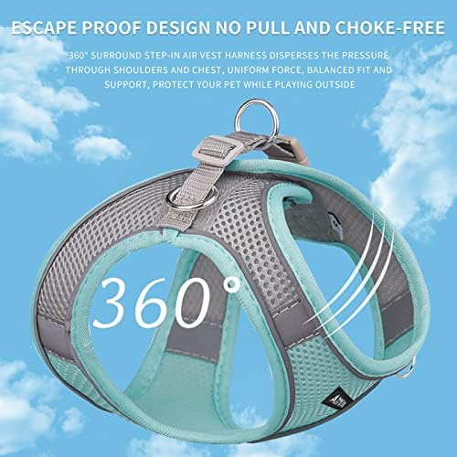 AIITLE Dog Harness and Leash Set, Step-in Puppy Pet Vest, Turquoise XXS - Image 5