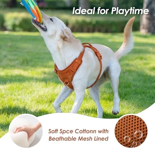 Sunraymascota No Pull Dog Harness - Image 6