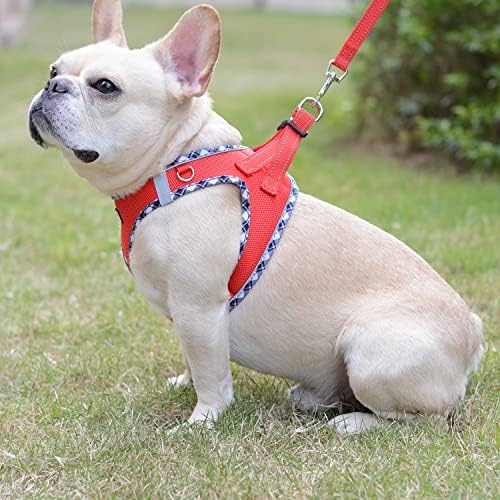 Mercano Soft Mesh Dog Harness and Leash Set, Step-in Reflective Breathable - Image 5