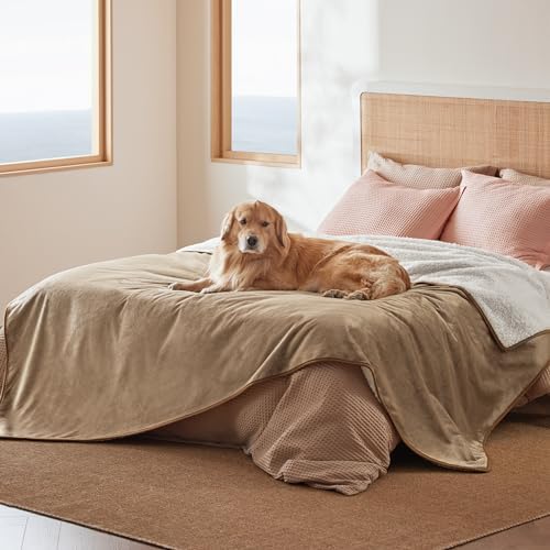 Bedsure Waterproof Blanket for Bed Soft Sherpa Fleece Throw, Queen 90x86 by BEDSURE