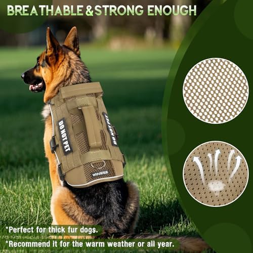 WINSEE Tactical Molle Vest Mesh Dog Harness - Image 2